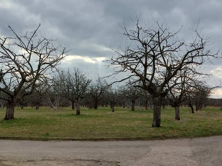 Erfurt Schwedenschanze Wanderungen und Rundwege komoot