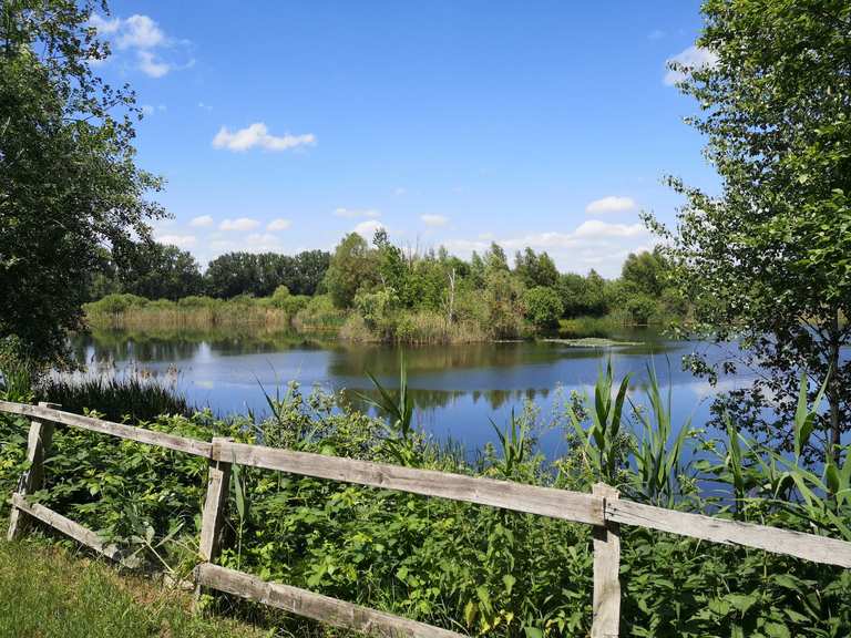 Aussichtspunkt auf die Brietzer Teiche Wanderungen und Rundwege komoot
