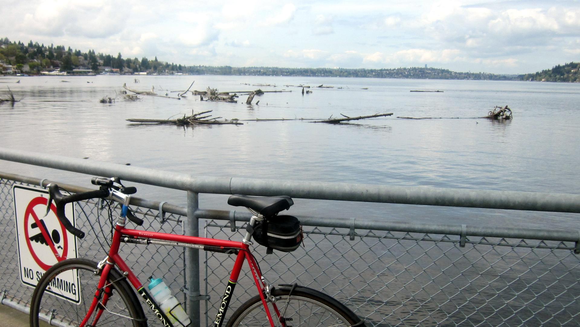Red bicycle parked by a cloudy lake filled with driftwood.