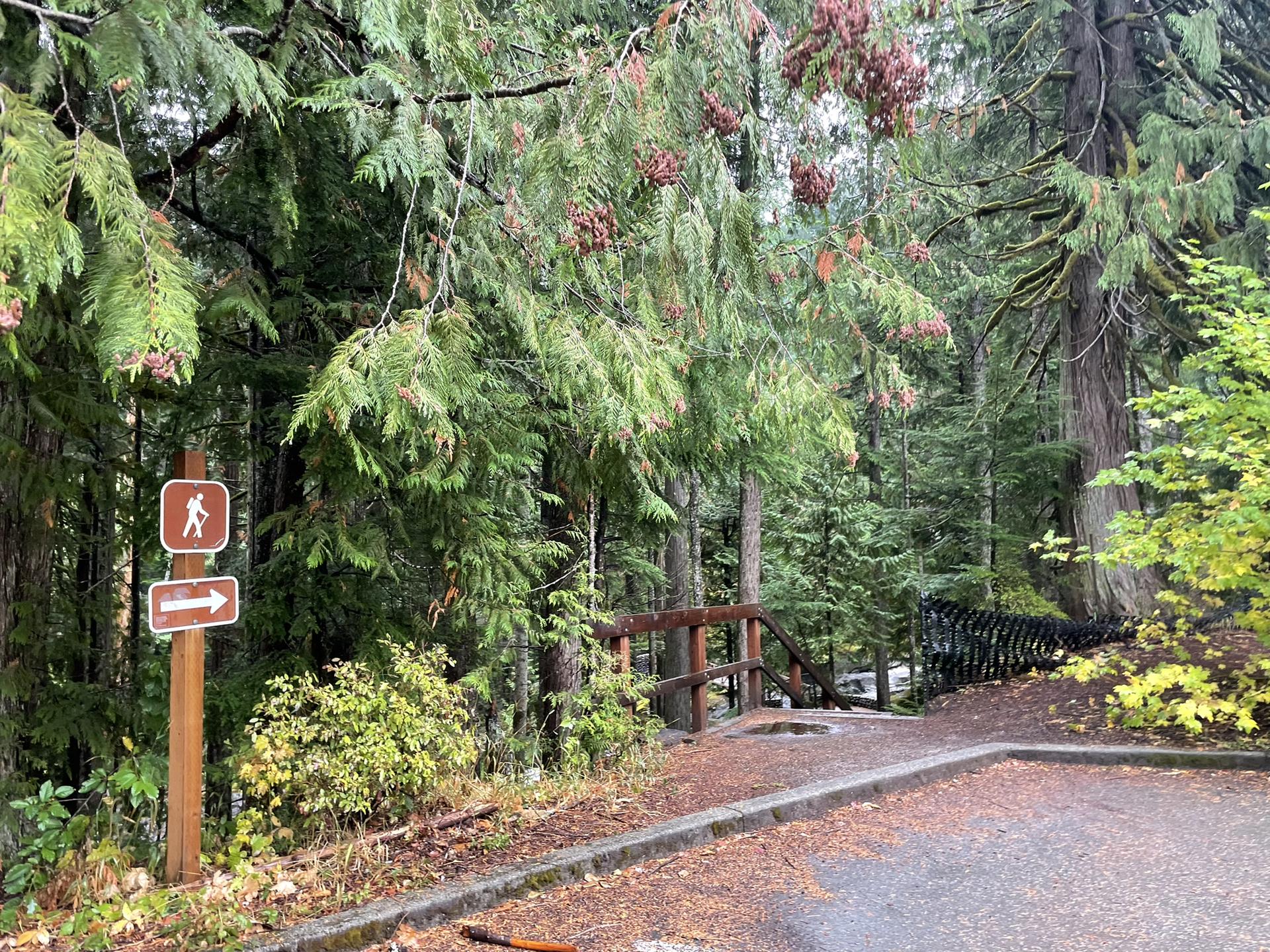 Trailhead sign with hiker symbol next to a paved path entering a dense forest.
