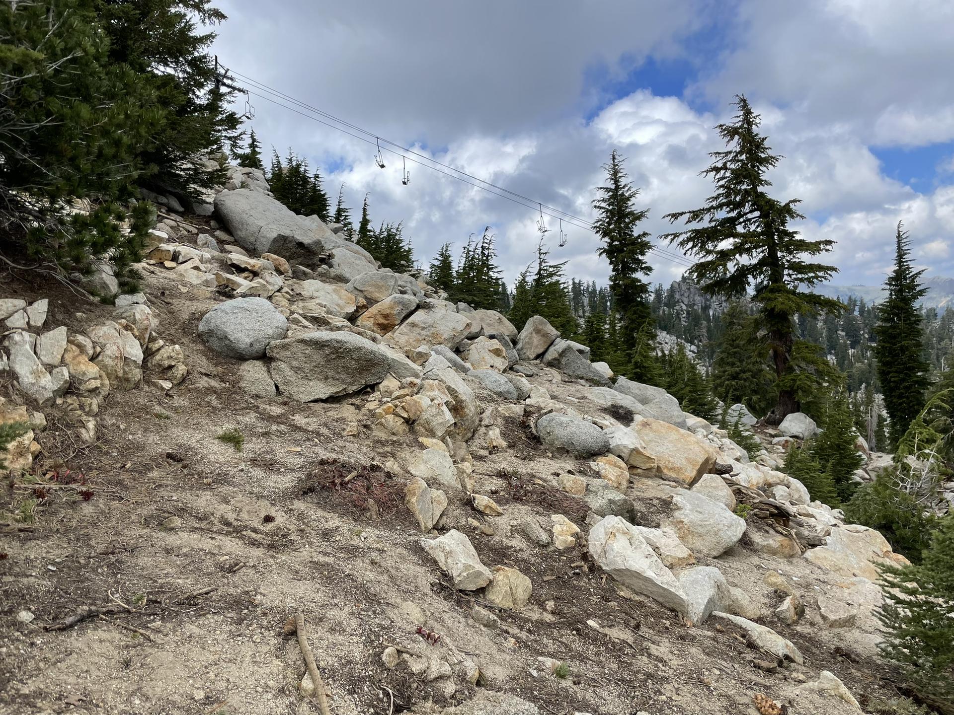Rocky hillside with pine trees and ski lift cables under a cloudy sky.