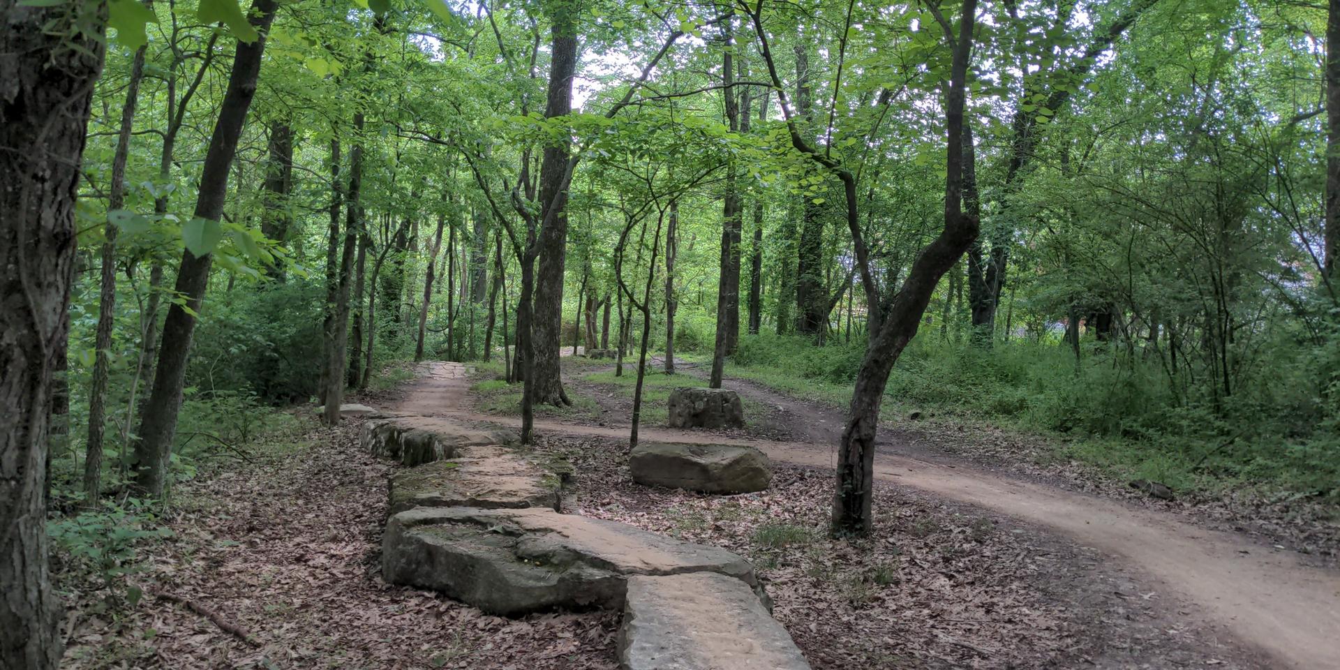 Forking dirt paths with stone steps through a dense, green forest.