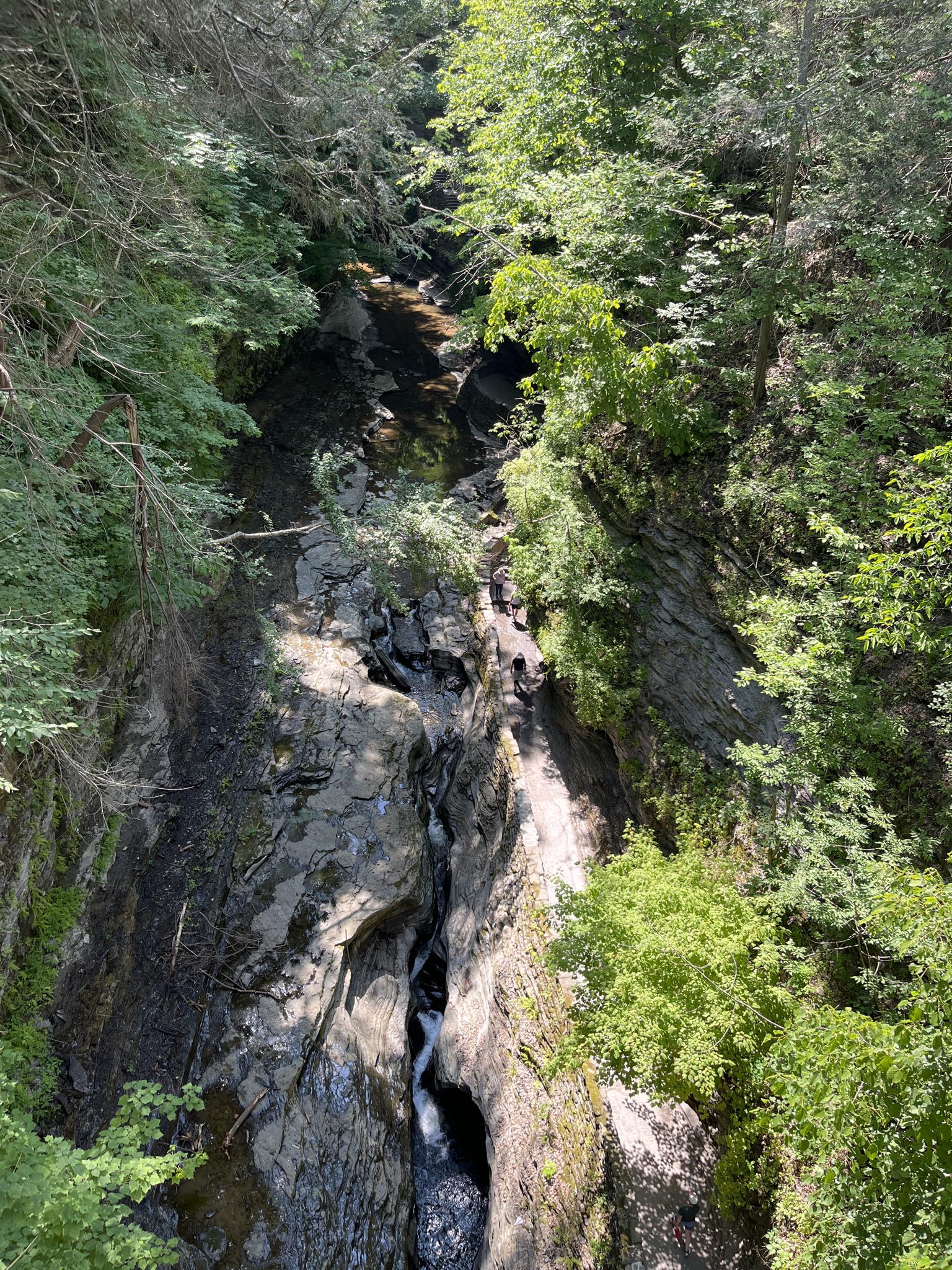 Steep, tree-lined gorge with a small waterfall cascading over dark rocks.