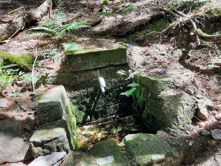 Sophien Quelle Wanderungen und Rundwege komoot