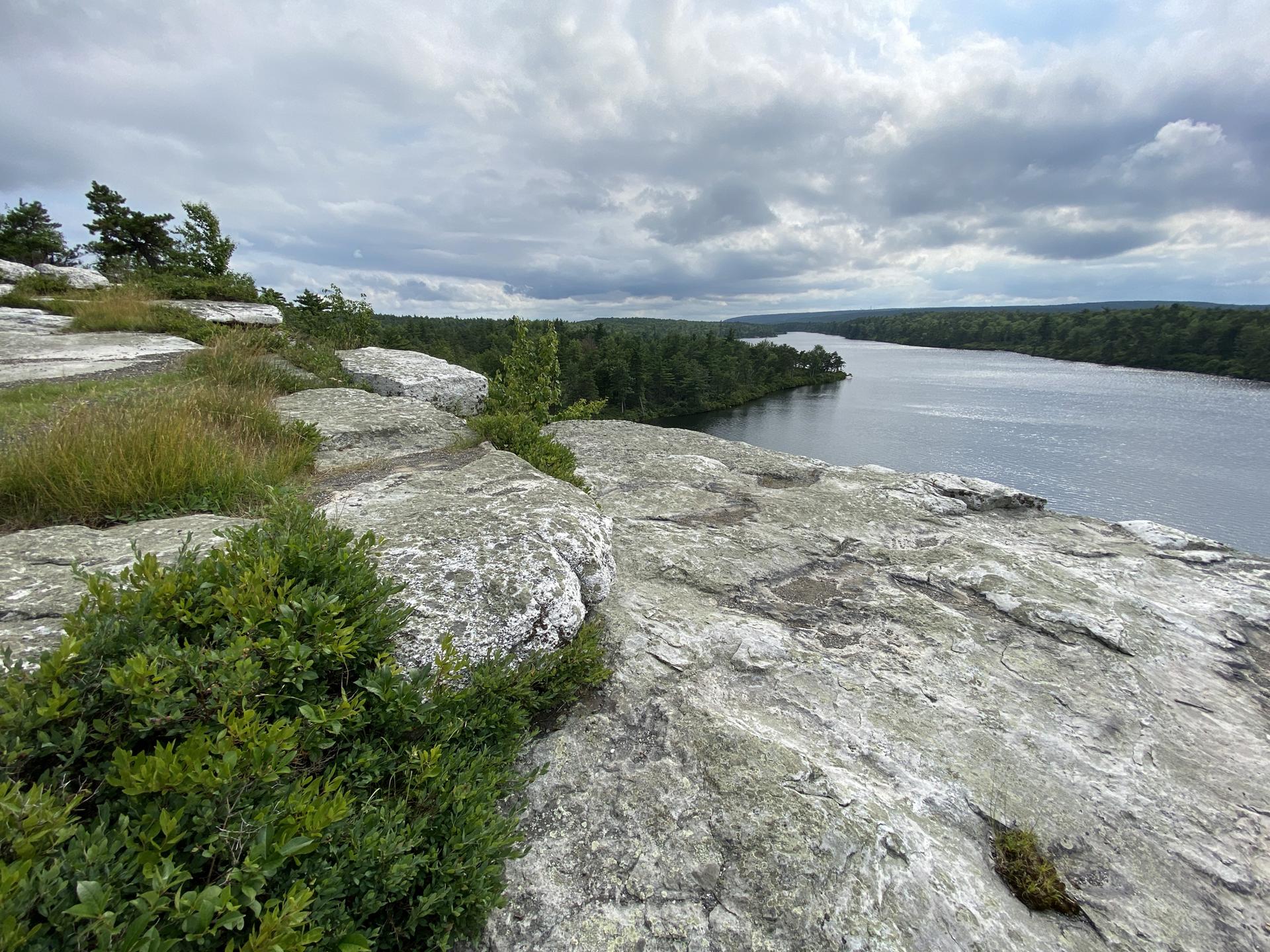 Rocky cliff edge overlooking a wide lake and dense forest on an overcast day.