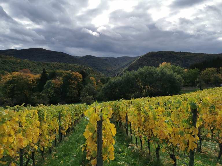 Komoot-Vorschau: Weinberge im Ahrtal – Wander- & Radrouten | Komoot