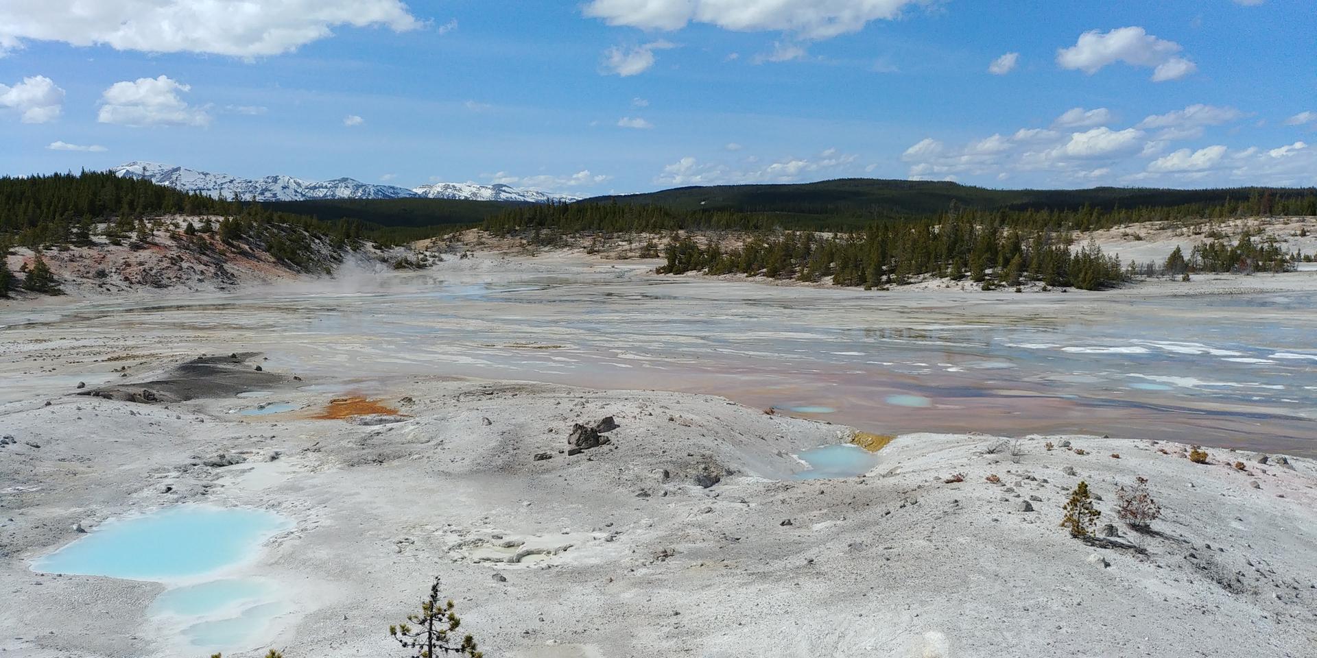 Vast geothermal landscape with colorful pools, distant forest, and snowy mountains.