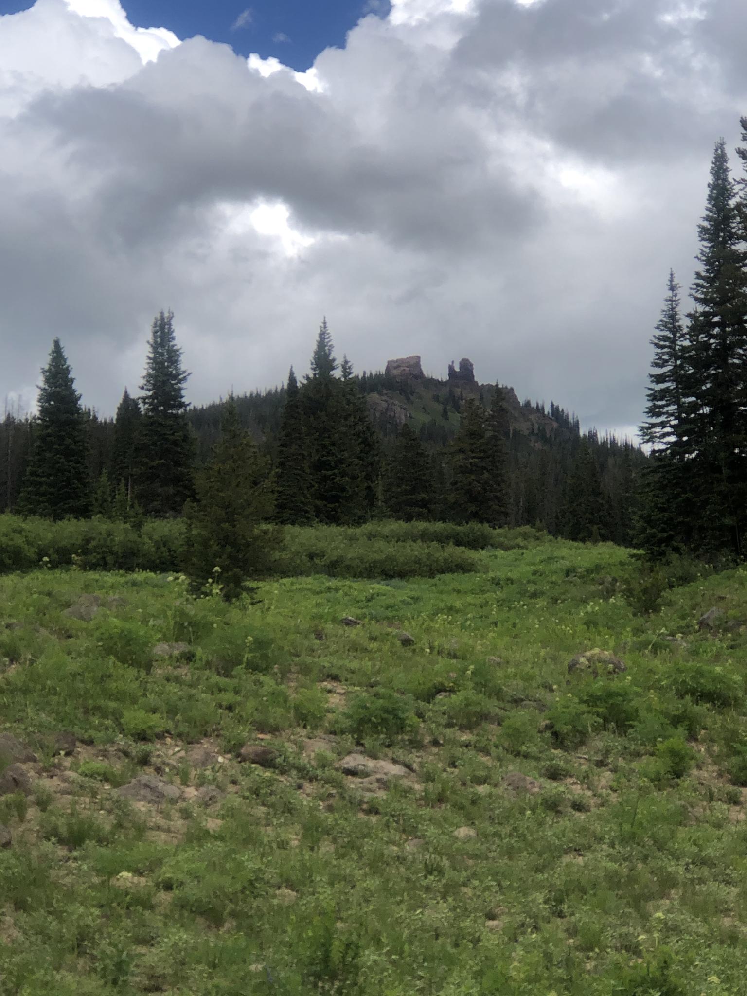 Overcast view of a forested hill with rock formations above a green meadow.
