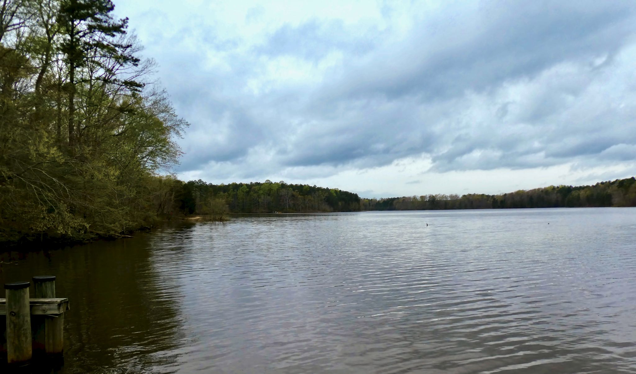 Wide lake with forested shores under a dramatic cloudy sky. - St. Mary's Lake Loop