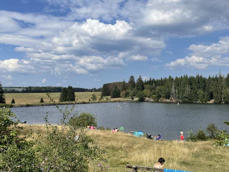 Ziegenberger Teich MountainbikeTouren und Trails komoot