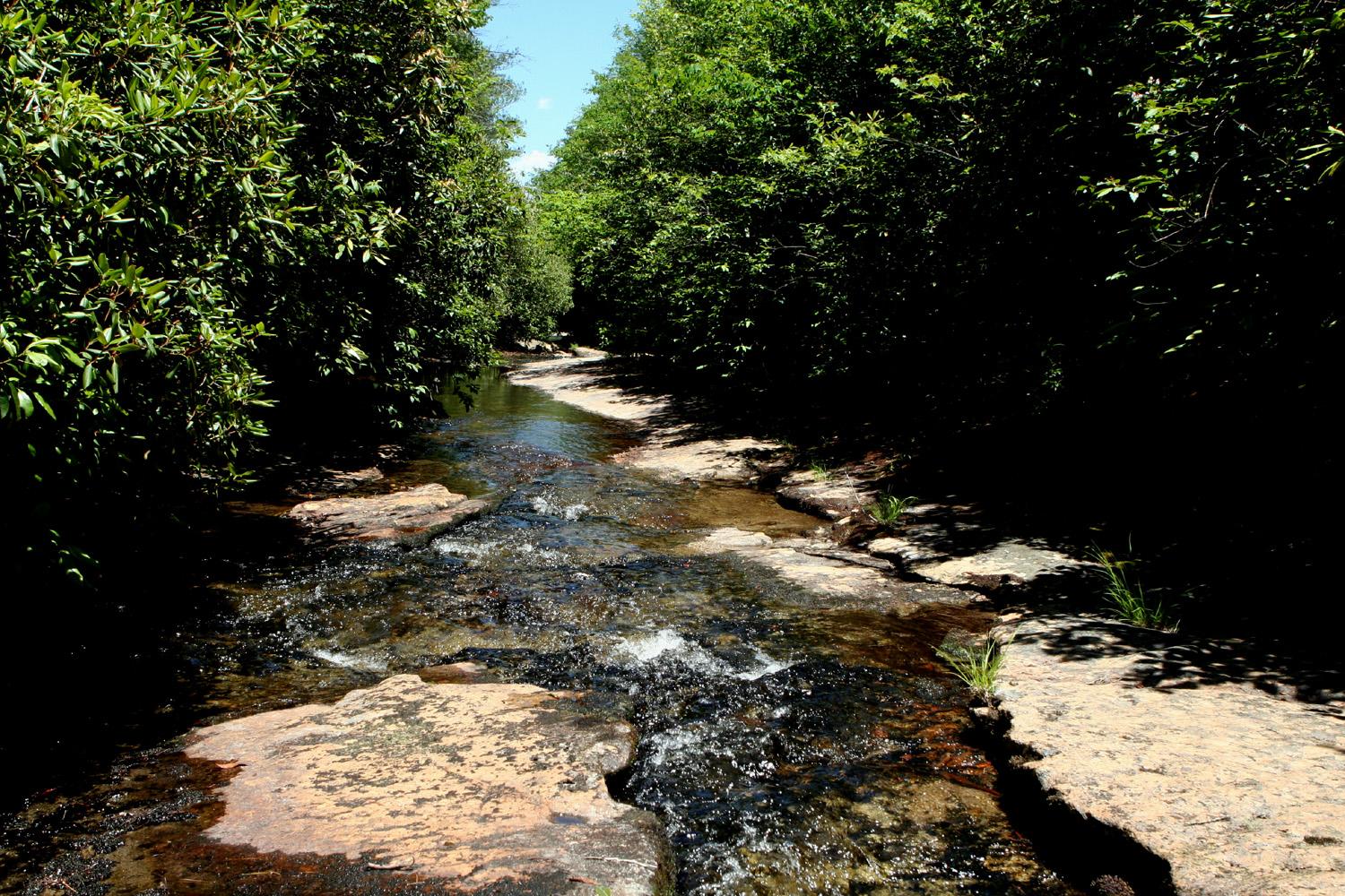 Clear stream flowing over rocks through a dense, green, sunlit forest.