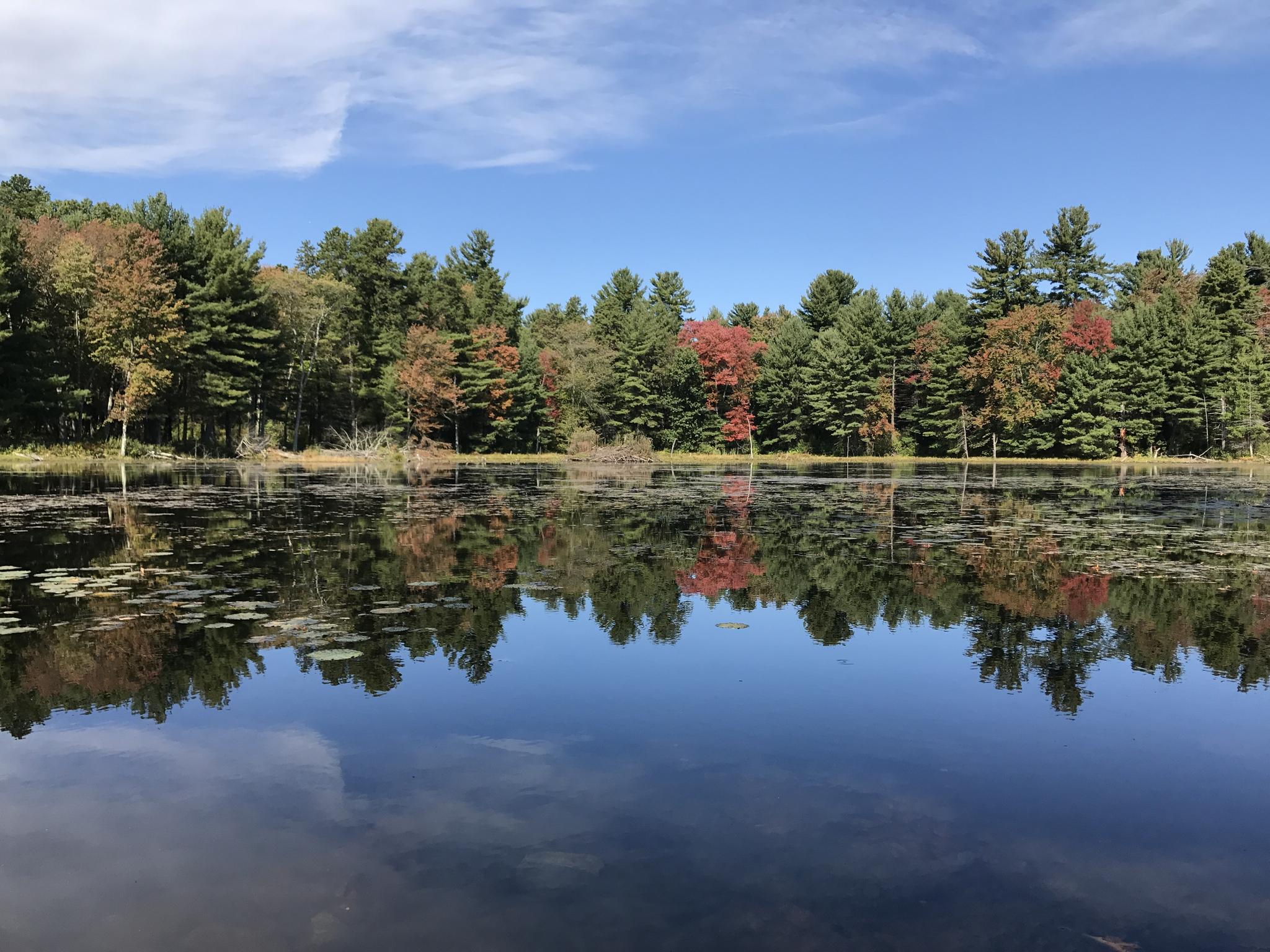 Calm lake reflecting colorful autumn trees under a partly cloudy blue sky.