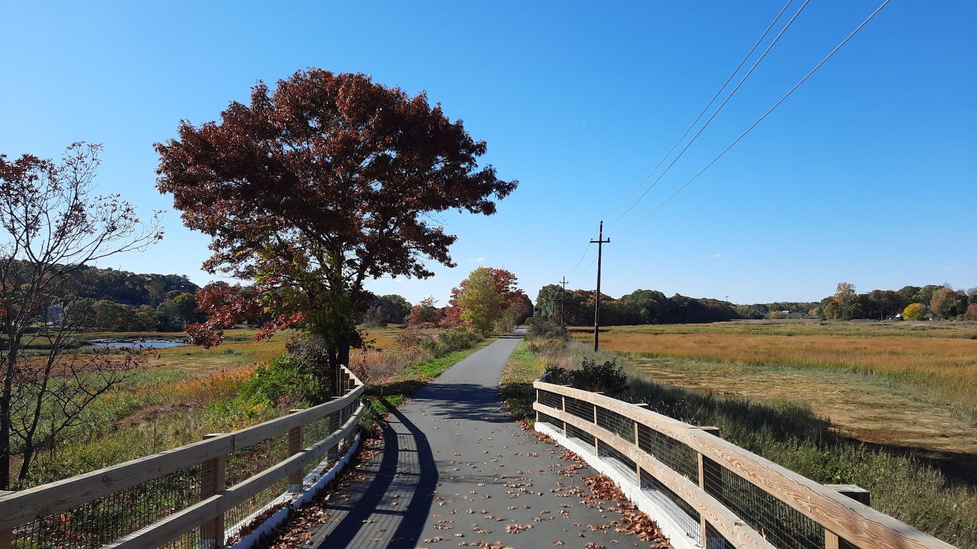 Paved path on a bridge, autumn tree, and marsh under clear sky.