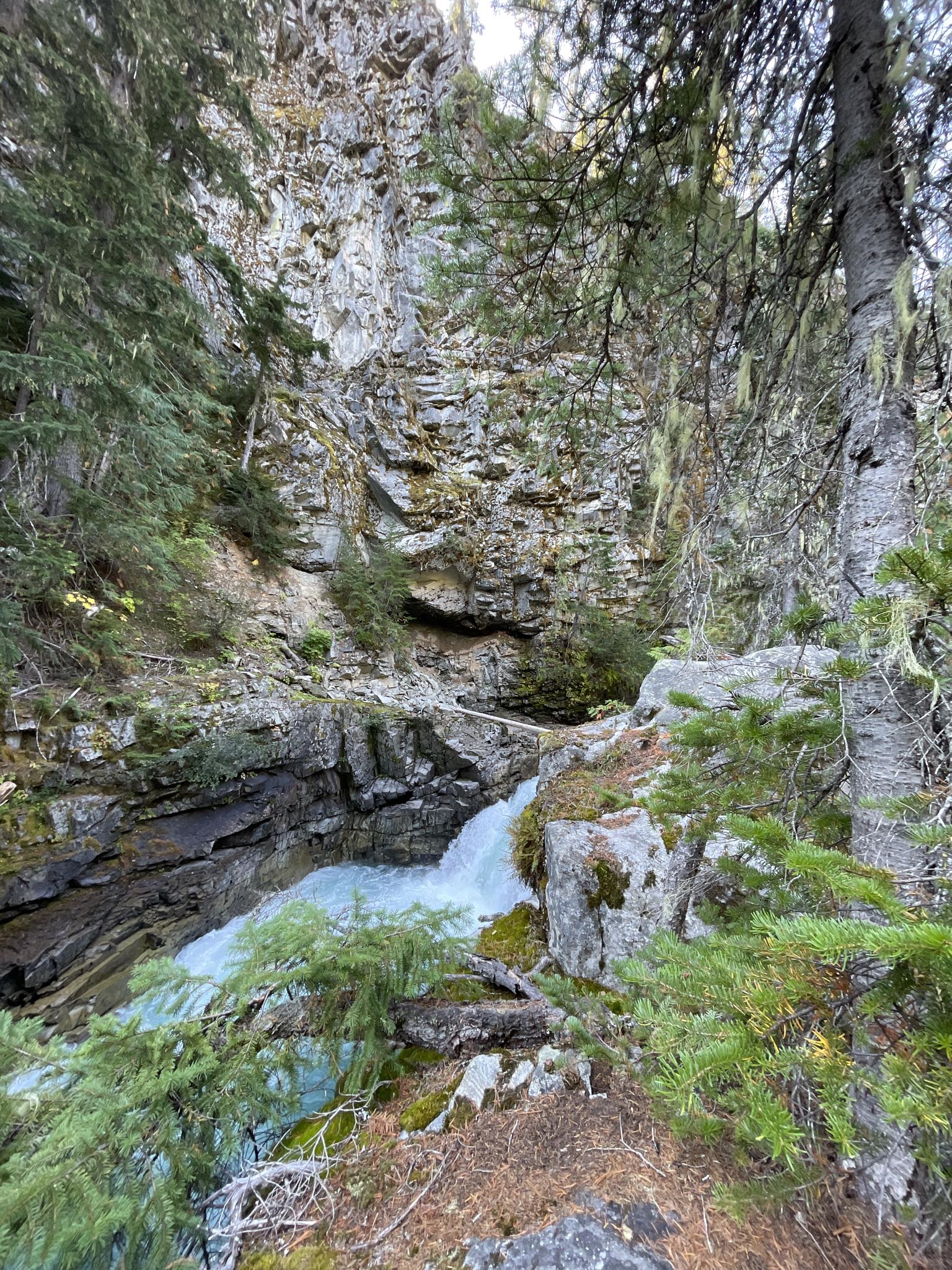 A small waterfall cascades into a rocky canyon surrounded by dense forest.