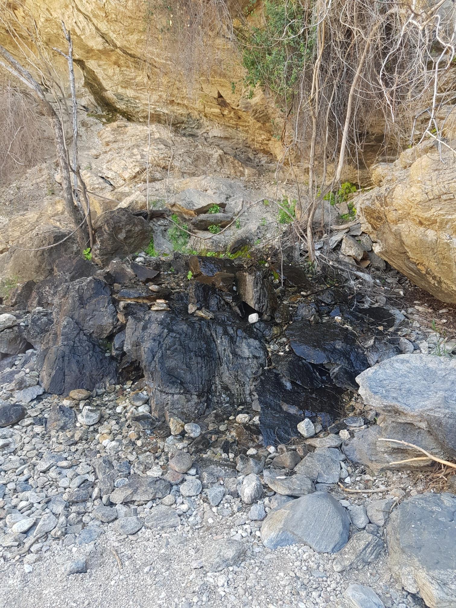 Rocky ground with wet, dark rocks at the base of a light-colored cliff.