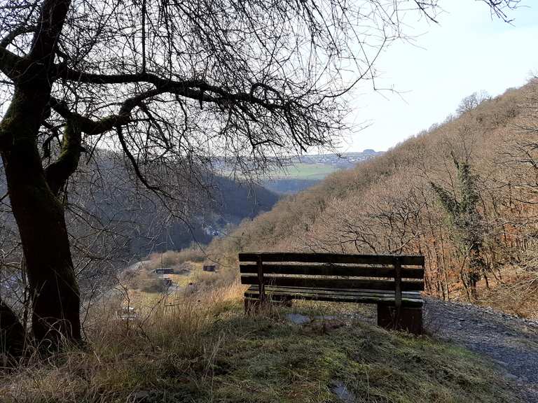 Rastplatz Rheinsteig Wanderungen und Rundwege komoot