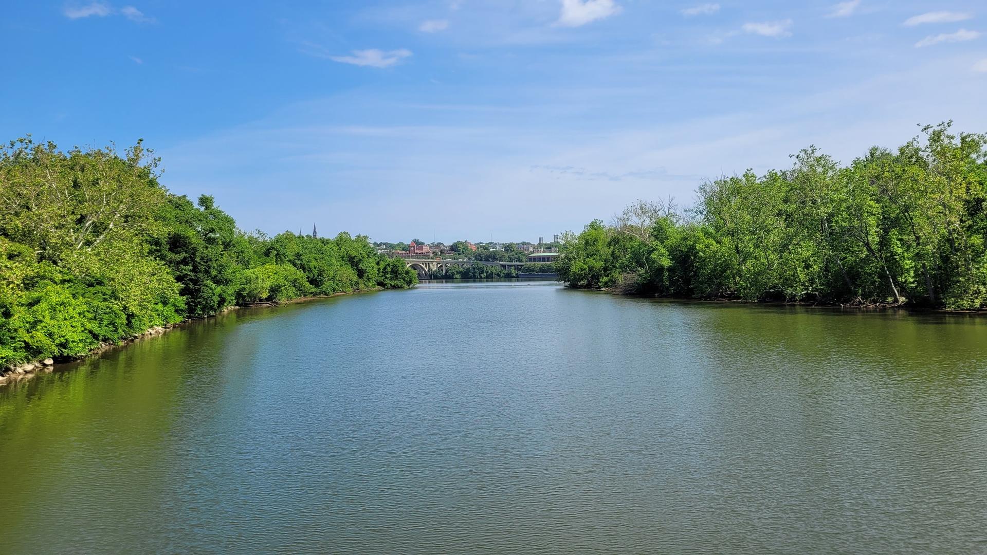 Wide river flanked by lush green trees under a bright blue sky.