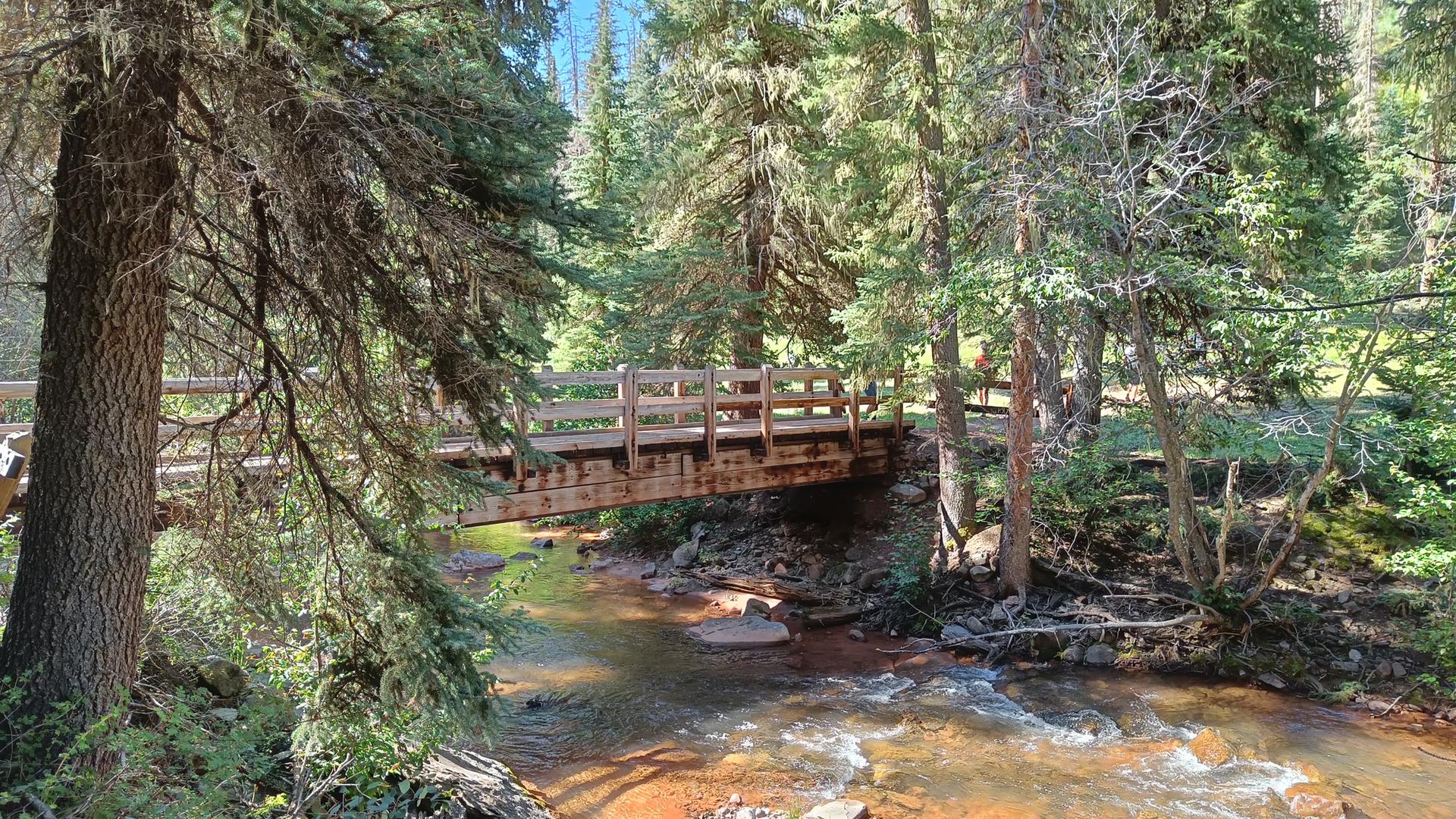 Wooden bridge crosses a clear, rocky stream in a sun-dappled forest.