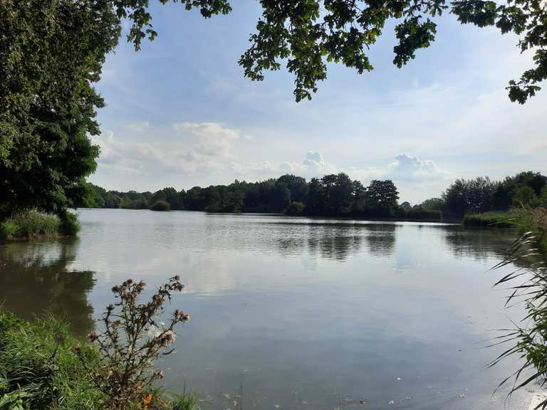 Tiefenauer Teiche Wanderungen und Rundwege komoot