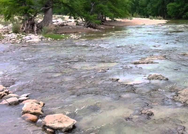 Clear, shallow river with rocks and trees on the bank under natural light.