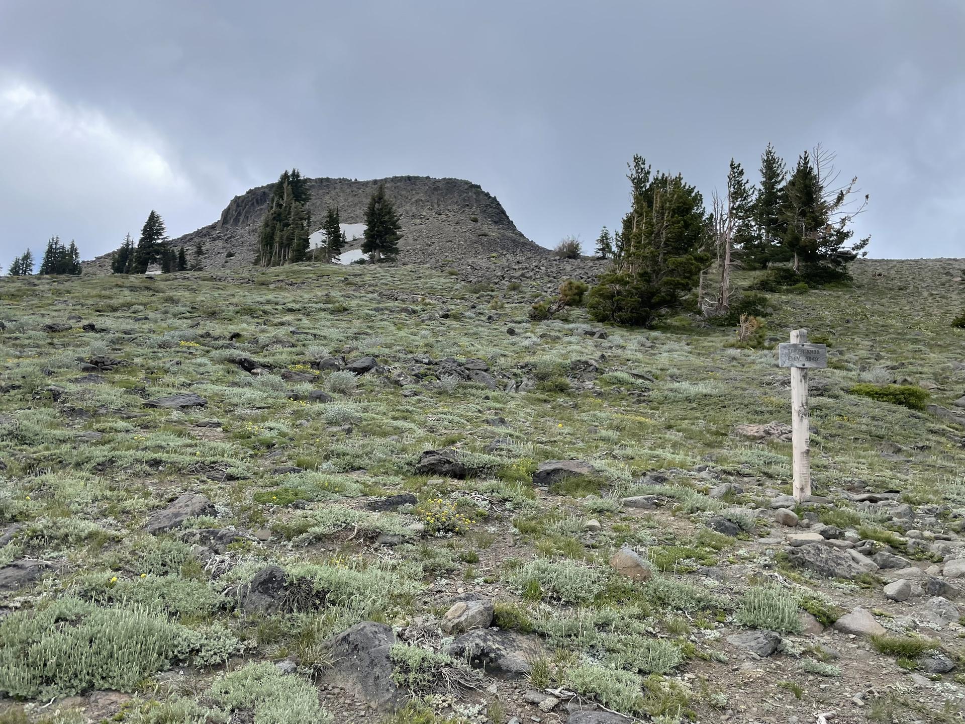 A rocky, barren mountain peak under an overcast sky, with sparse green plants and a signpost.