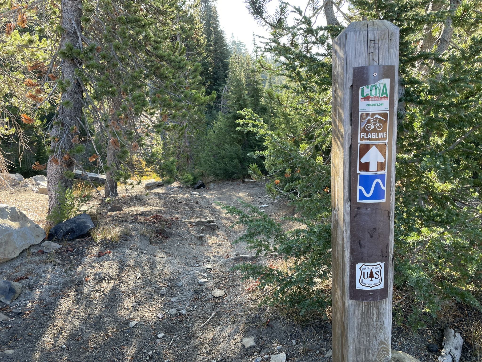 Sunny forest path with a wooden trail marker post and tall trees. - Flagline & Metolius-Windigo Trail loop