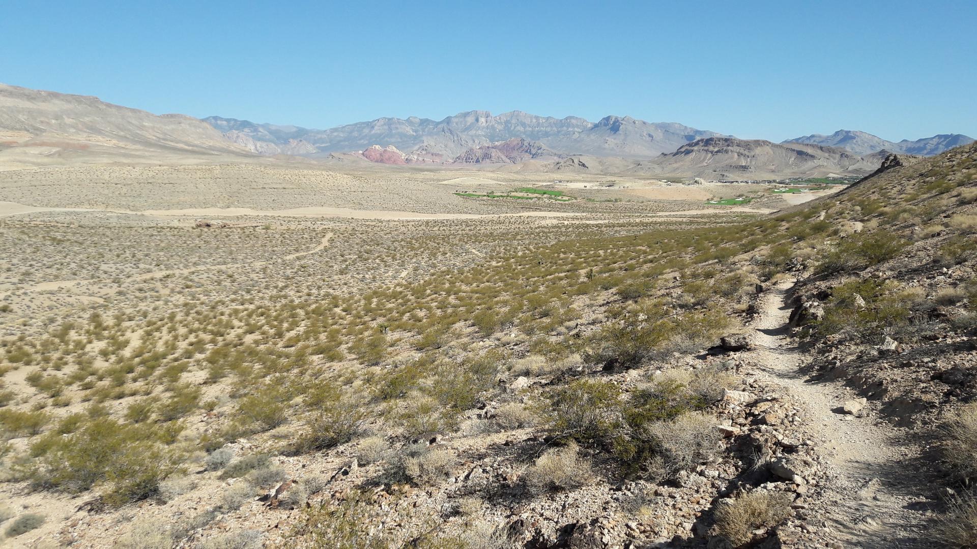 Wide desert valley with a winding trail, distant mountains, and some green patches.