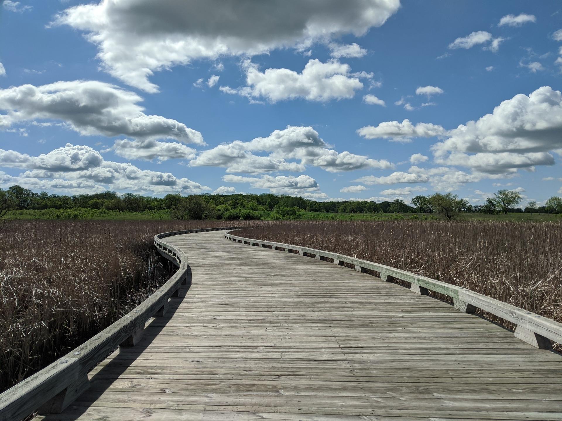 A winding wooden boardwalk through a marshy landscape under a cloudy blue sky.