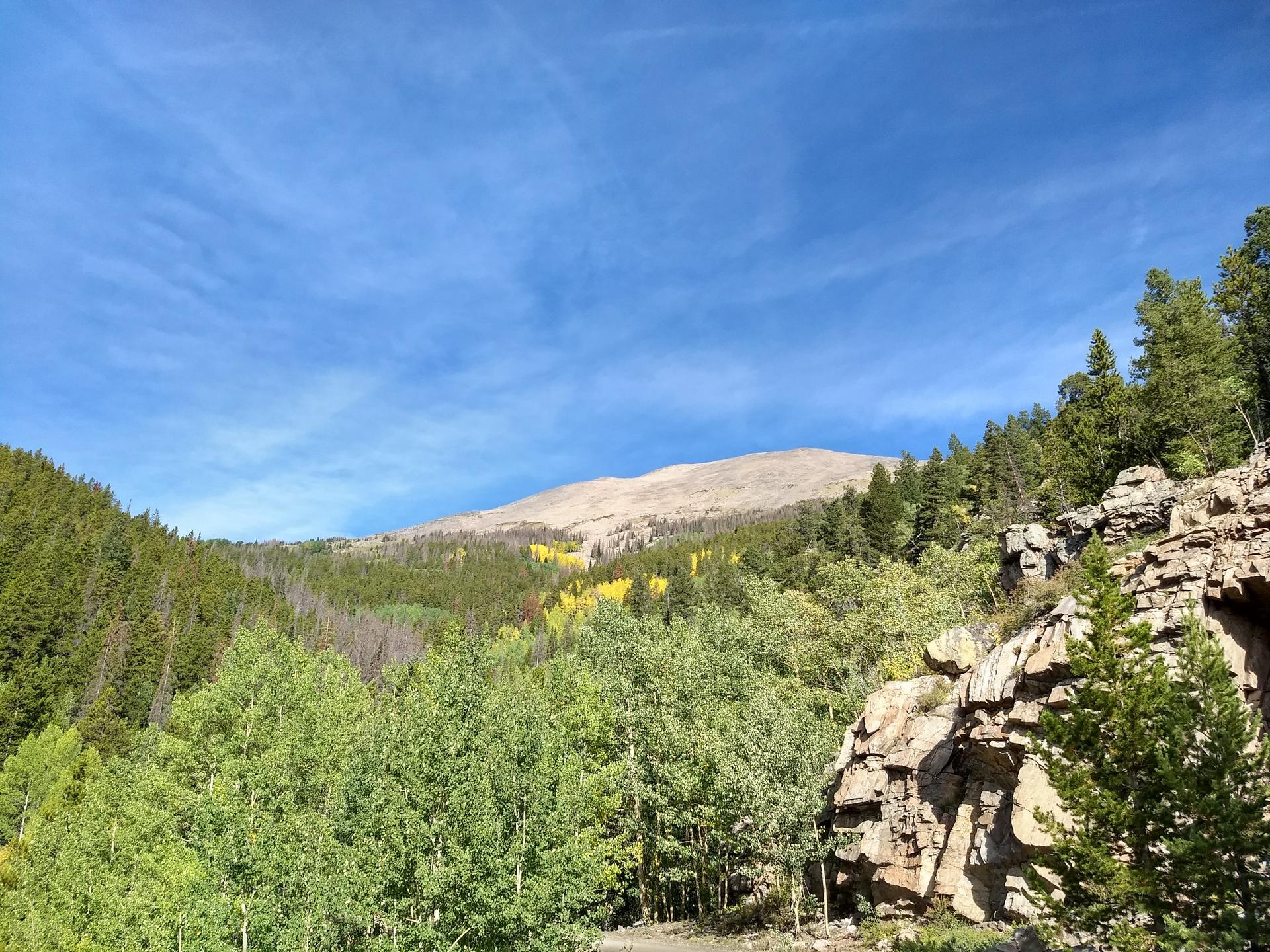 Rocky mountain and green forest with some yellow trees under a clear blue sky.