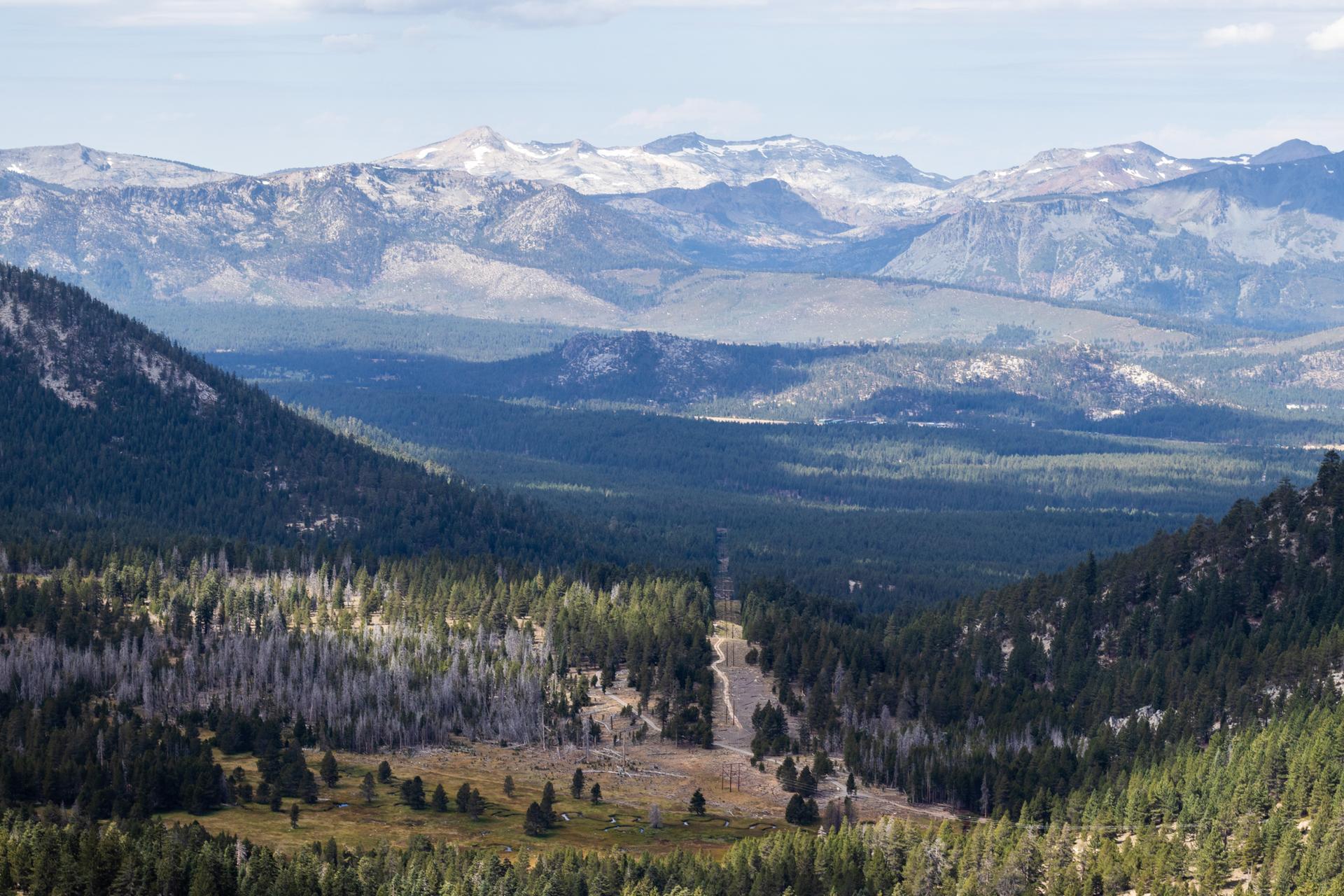 An expansive valley with dense forests leading to distant snow-capped mountains.