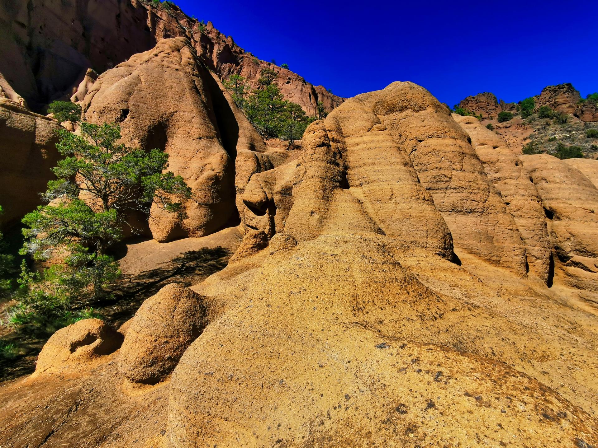 Eroded, golden-brown rock formations with green trees under a clear sky.