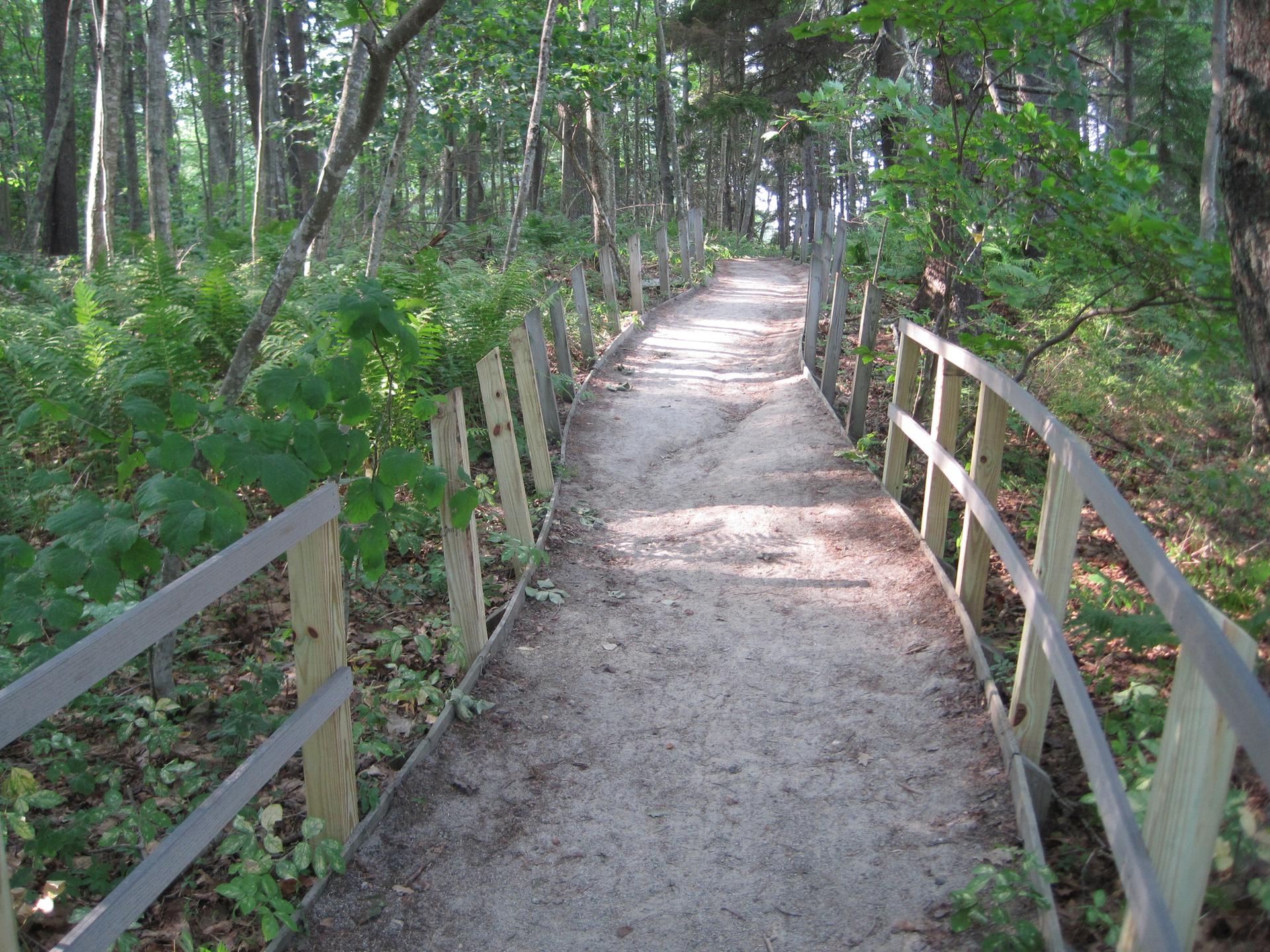 A winding dirt path with wooden fences through a sunlit green forest.