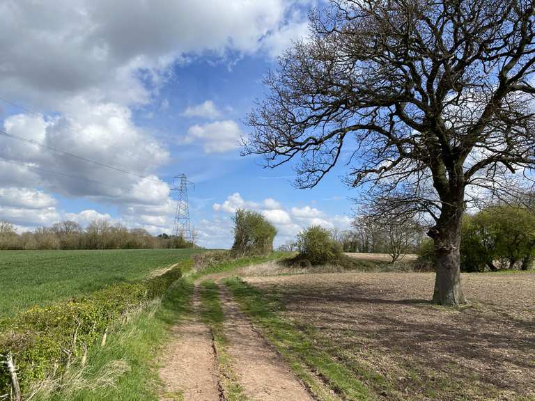Gravel and fields from Clevelode towards Callow End Road Cycle Routes