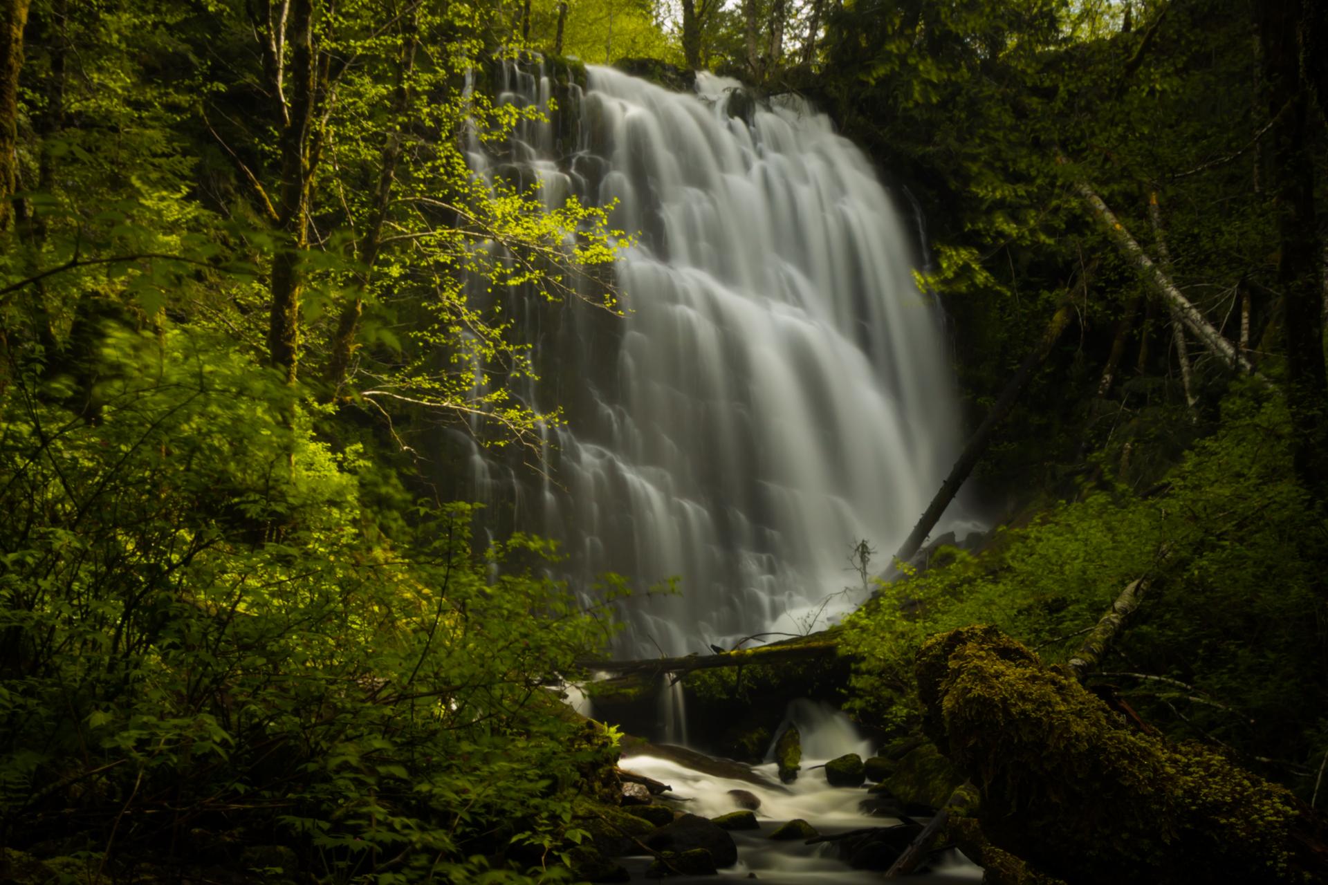 A powerful waterfall cascades into a stream in a lush, green forest.