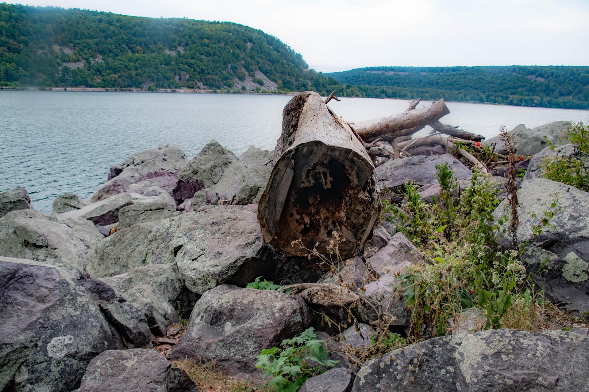 A large hollow log rests on a rocky shore beside a calm lake.