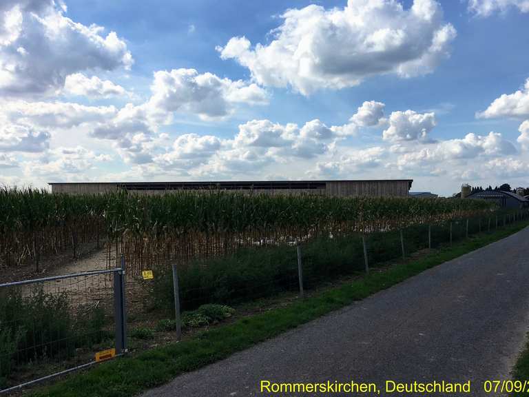 Gänsefleisch vom Gänsepeter Bio Hofladen