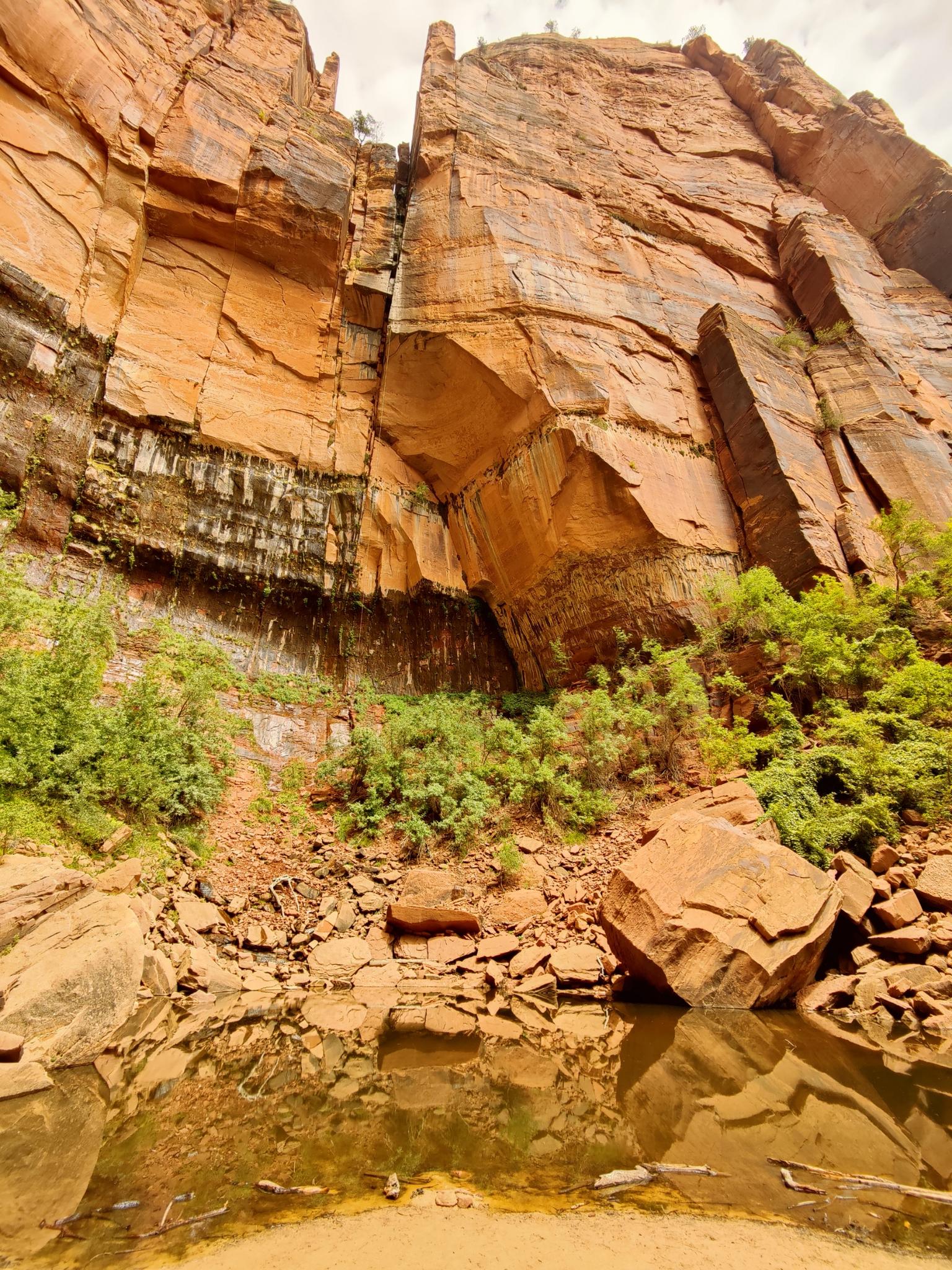 Towering red cliffs overlook a small pool and green foliage under bright light.