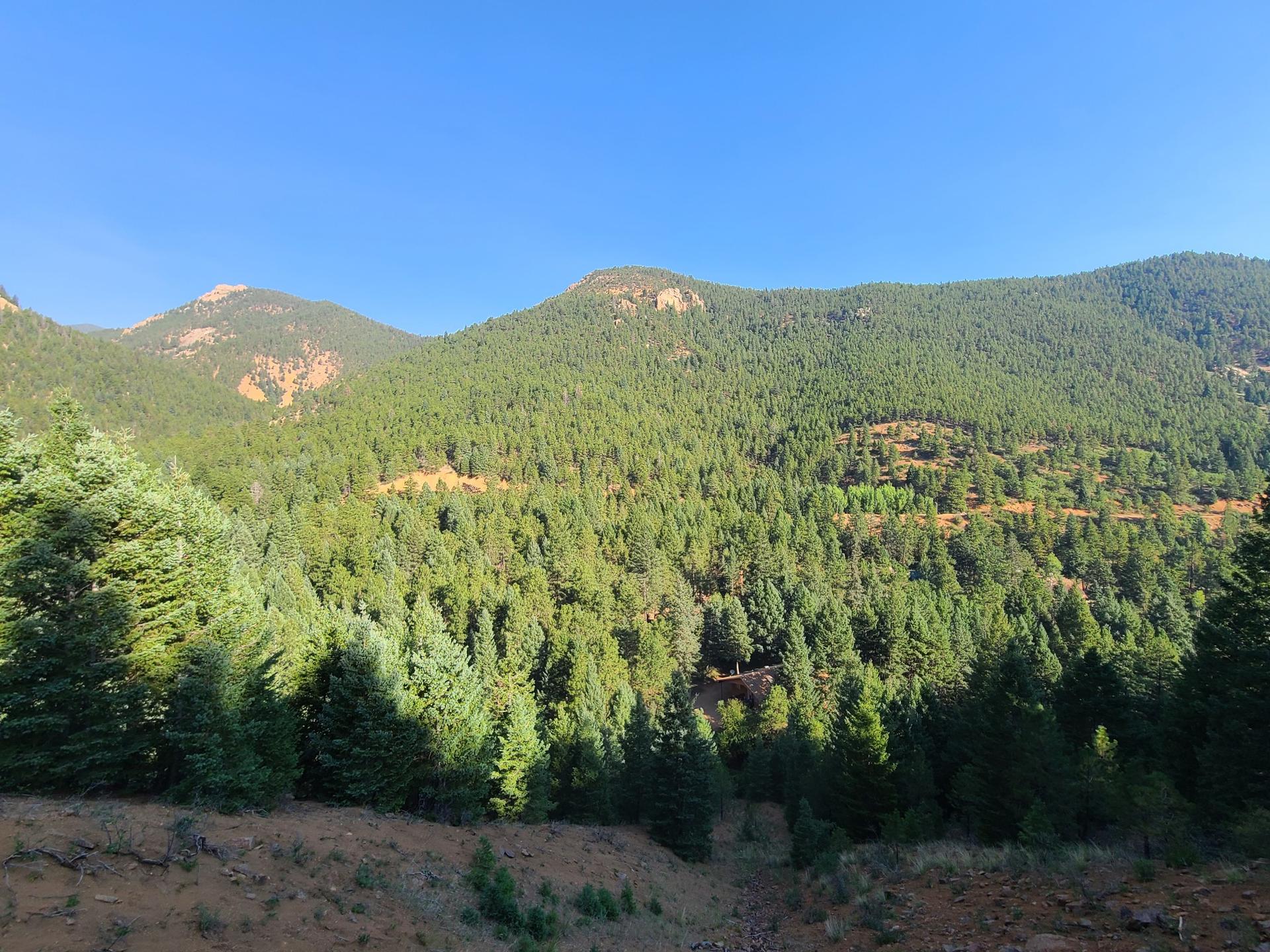 Lush green forest covers mountains under a clear blue sky.