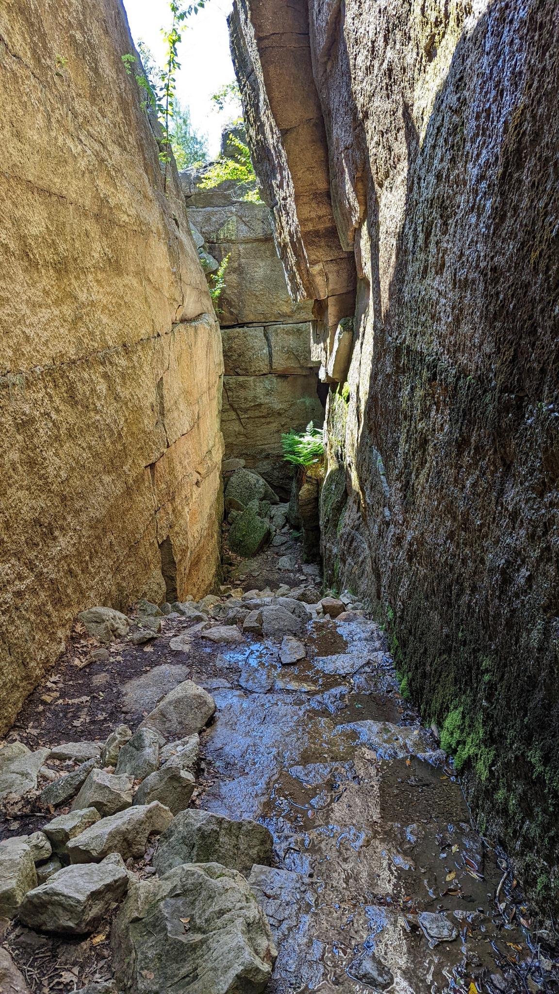 A narrow, wet rocky passage between tall, dark rock walls.