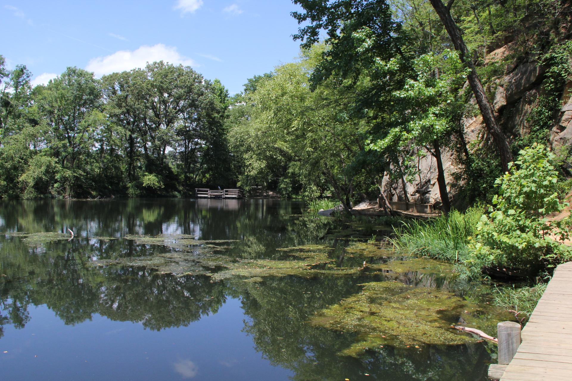 Calm lake with green algae, surrounded by lush trees and rocky cliffs.