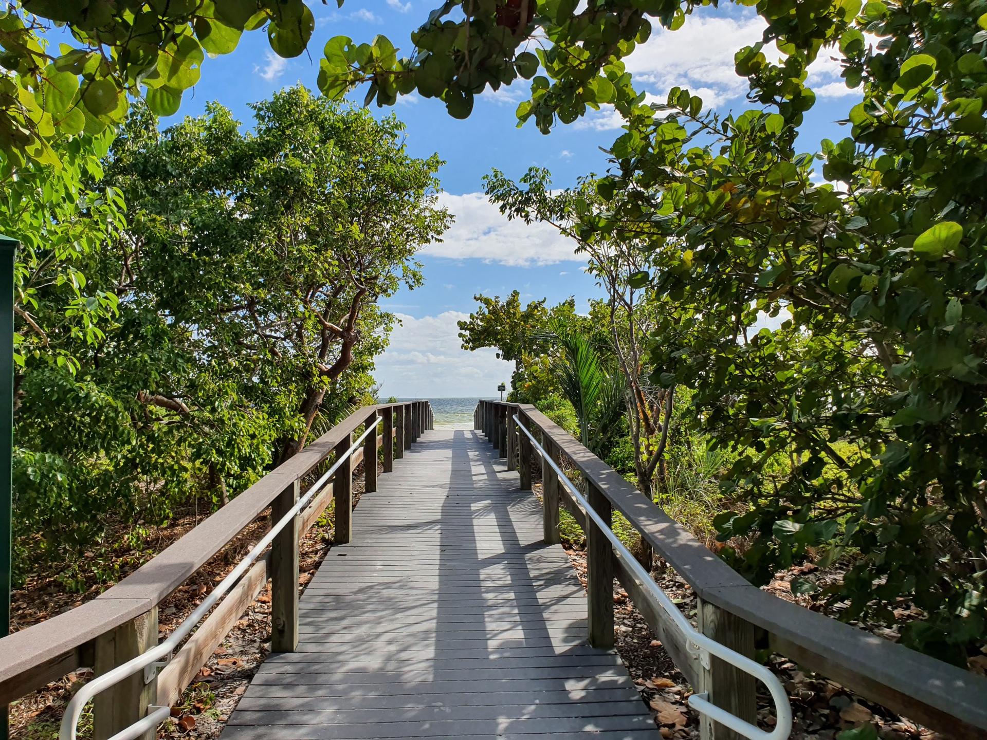 Wooden boardwalk leading through lush green trees towards a bright horizon.