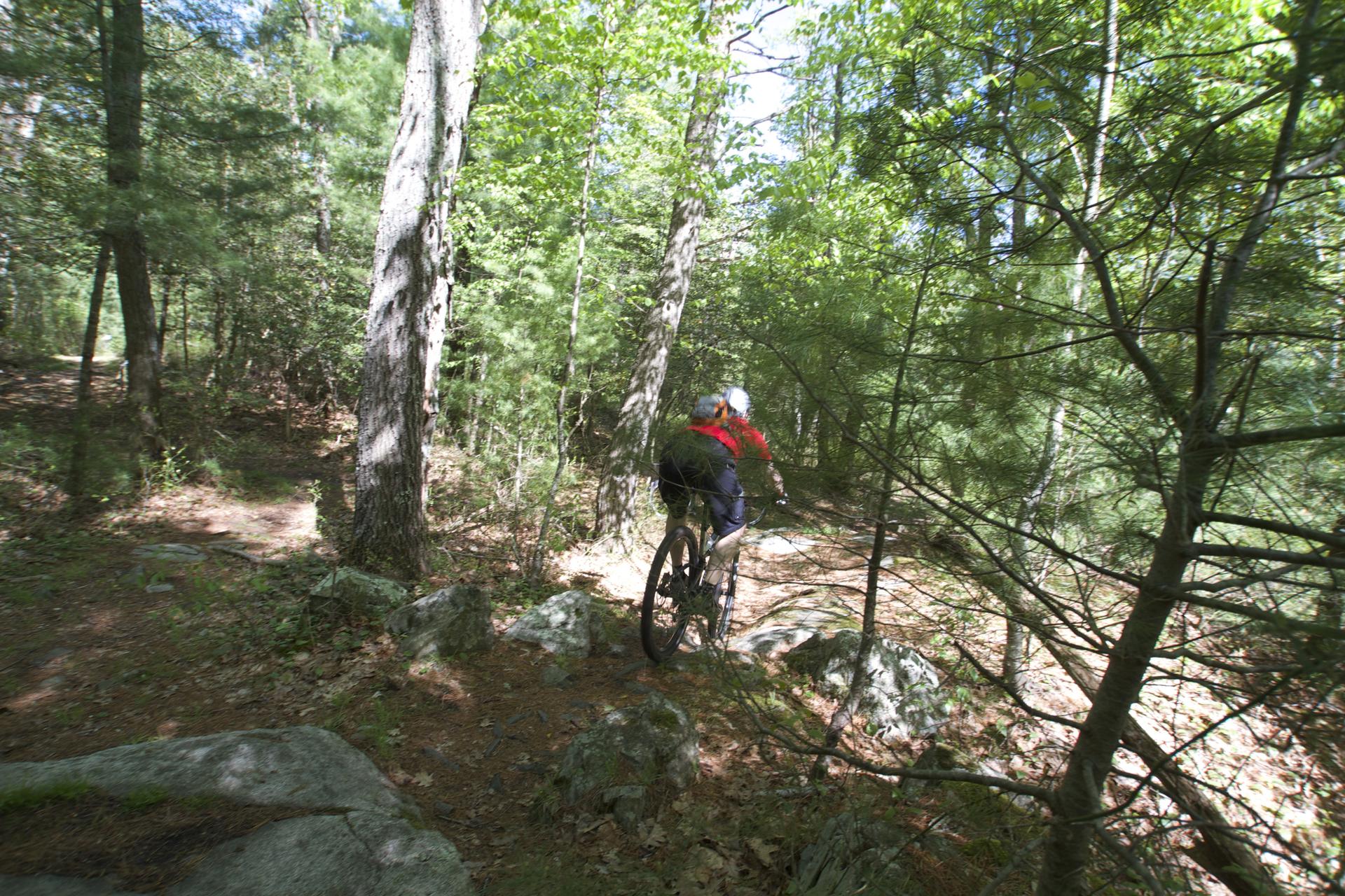Mountain biker on a dirt trail through a sunlit, rocky forest.