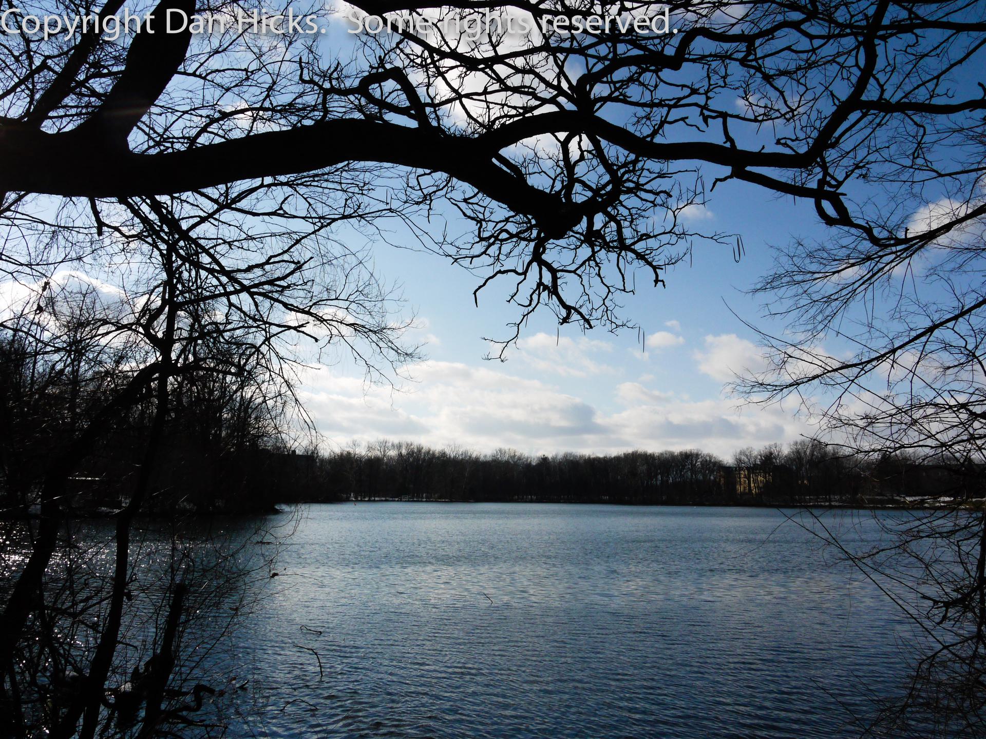 Dark tree branches frame a calm lake under a bright blue and cloudy sky.