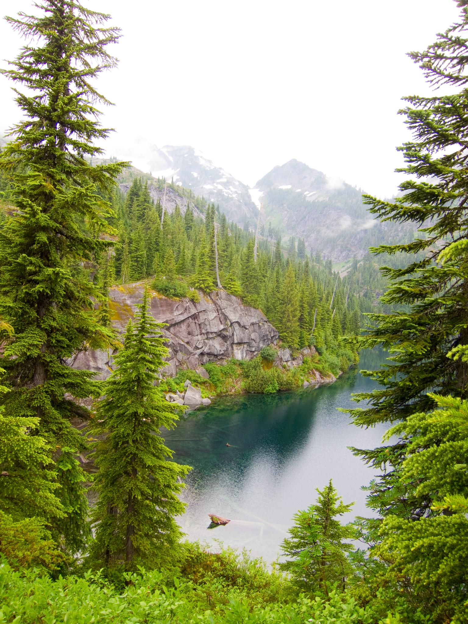 Overcast mountain lake framed by pine trees and rocky cliffs. An animal splashes.