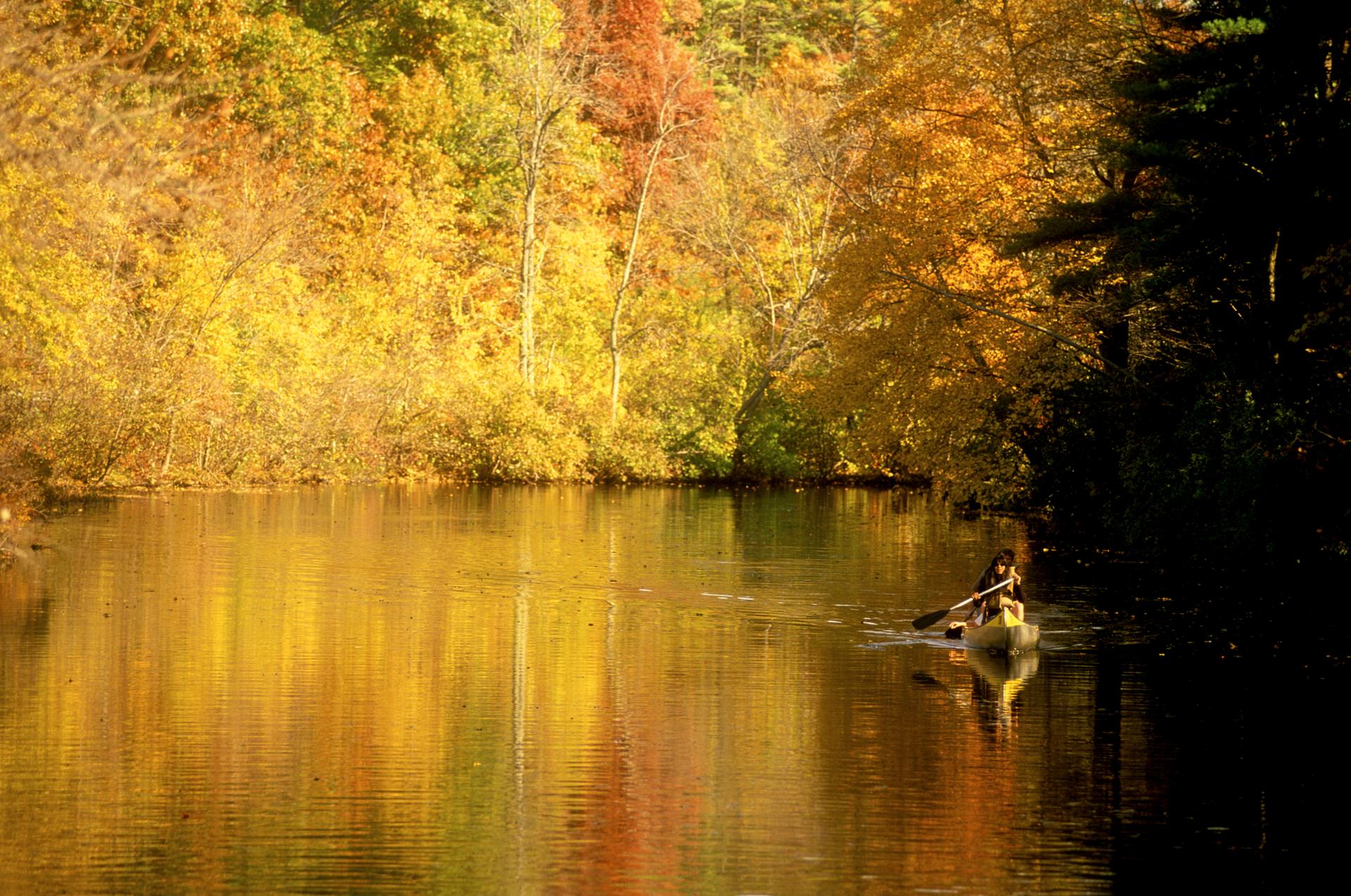 Person canoeing on a calm river surrounded by vibrant autumn trees.