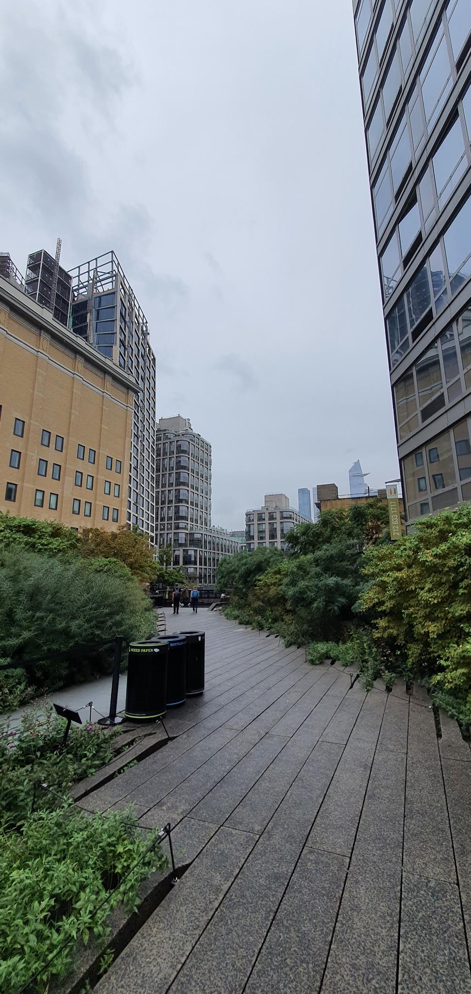 Elevated park pathway surrounded by green plants and tall city buildings.