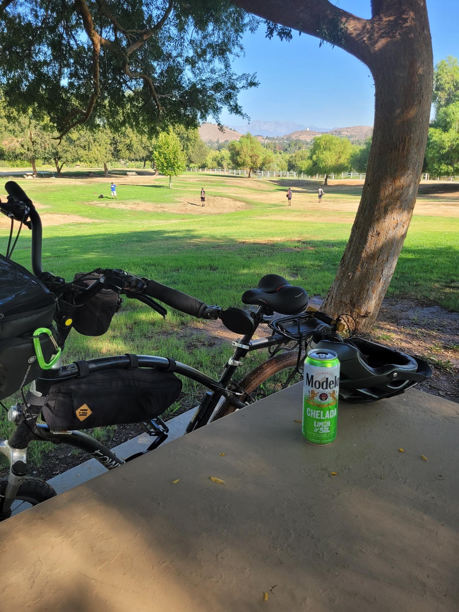 Bicycle and a drink can on a table, with people in a grassy park background.