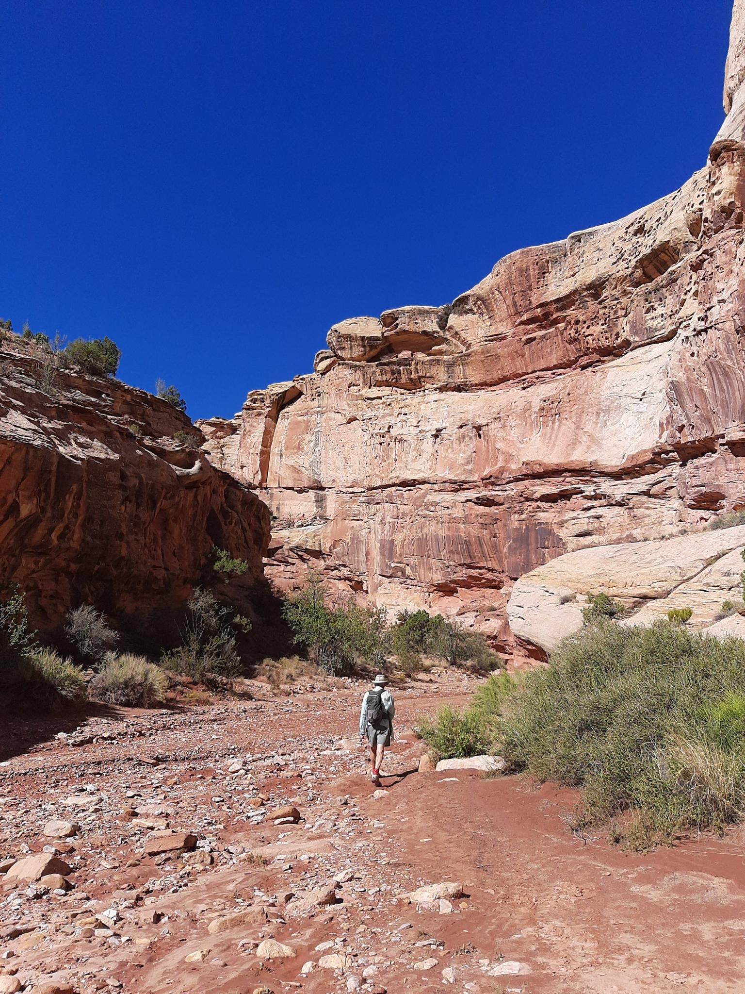 Hiker walks through a red rock canyon under a bright blue sky.