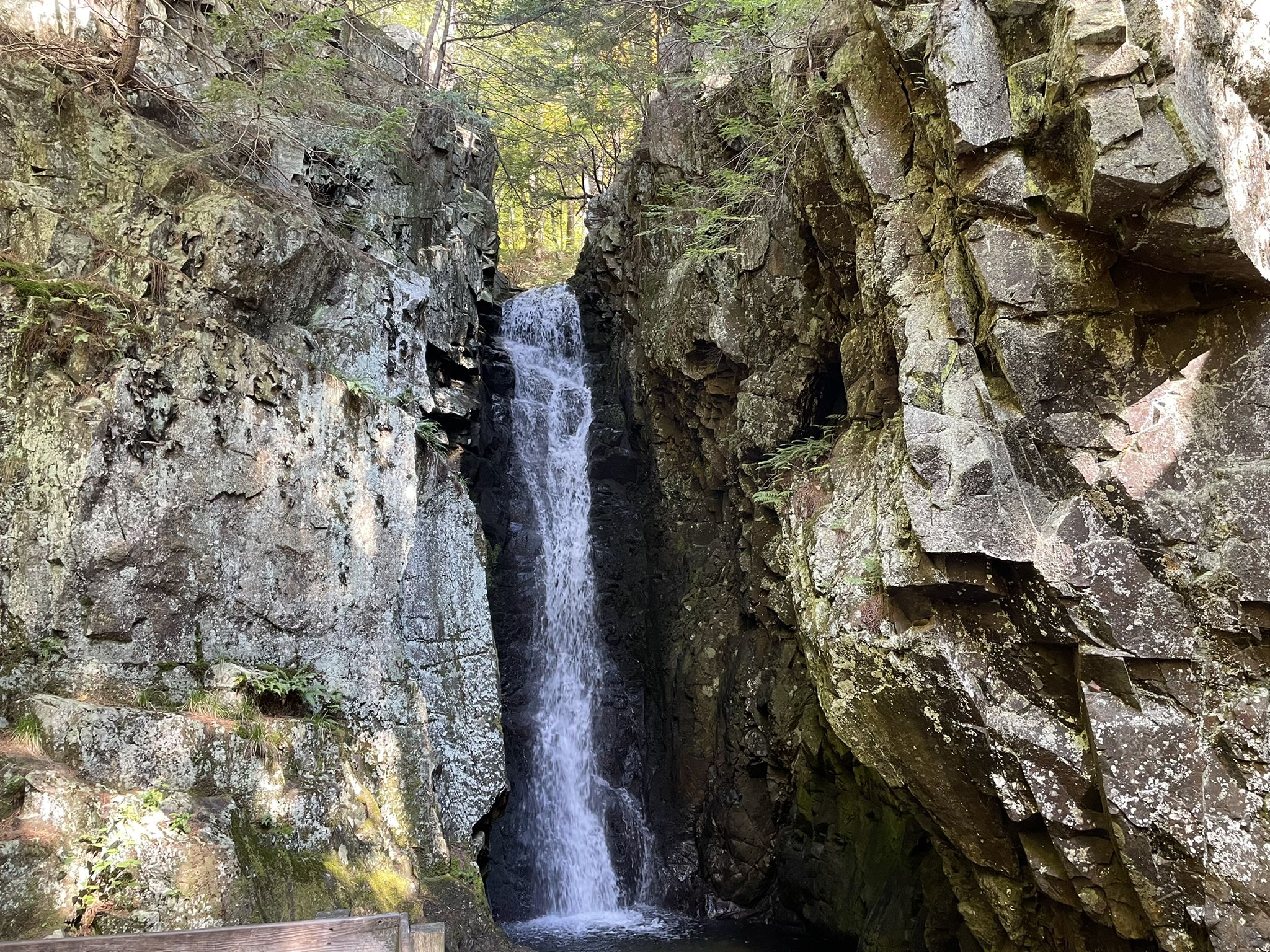A tall waterfall plunges into a narrow, rocky gorge under bright daylight. - Waterfall – Brook Walk loop from Shannon Brook trailhead parking