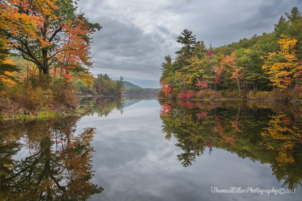 Calm lake reflecting vibrant autumn trees under a cloudy sky. - Paradise Pond – Technical Downhill Trail loop from Leominster State Forest